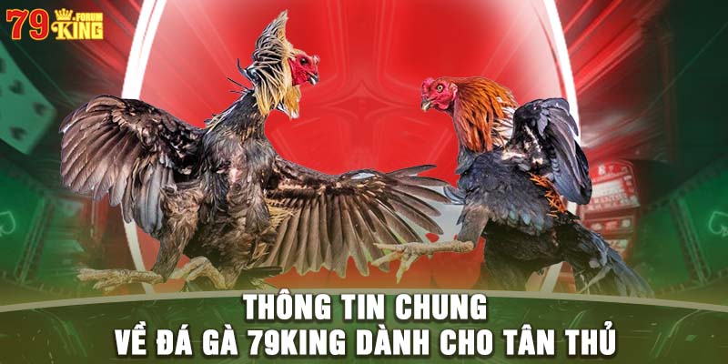 Thông tin chung về đá gà 79KING dành cho tân thủ