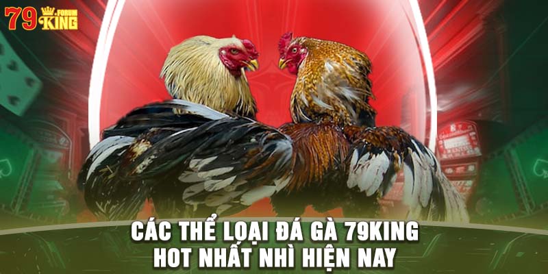 Các thể loại đá gà 79KING hot nhất nhì hiện nay